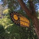 Saratoga Springs Picnic & Campgrounds - Picnic Grounds