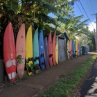 Aloha Surf Hostel