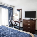 Comfort Inn Bellingham - Motels