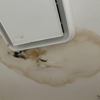PureAir Mold Testing of Santa Clarita gallery