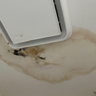 PureAir Mold Testing of Santa Clarita