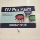 DV Pro Painting