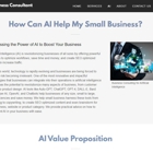 The Small Business Consultant