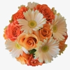 Rose & Blossom gallery