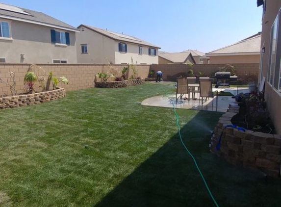 Luis Tree Service & Lawn Maintenance - Corona, CA