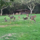 Sanborn County Park - Parks