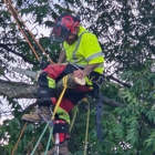 Bulldogs Tree Service
