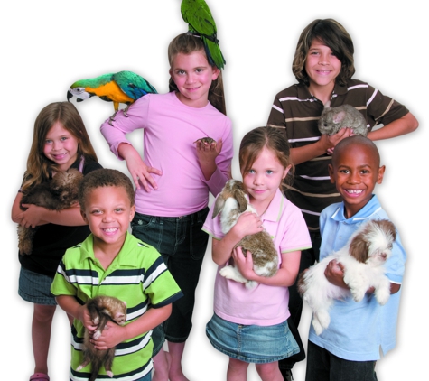 Most Valuable Pets - Lexington, KY