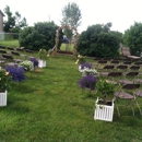 Daun's Plan It! - Party & Event Planners