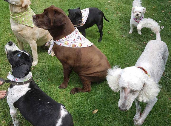 Fiona's Dog Grooming - West Kempsey, NSW