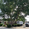 All Tree Works gallery