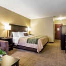 Quality Inn - Motels