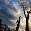 Matthews Tree Expert Company gallery