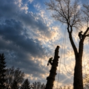 Matthews Tree Expert Company - Tree Service