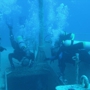 Sea Lions Dive Center