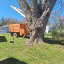 Mitchell's Tree Service - Tree Service