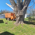 Mitchell's Tree Service