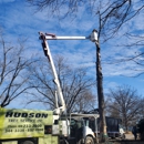 Hudson Tree Service - Tree Service