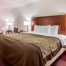 Quality Inn Opryland Area - Motels