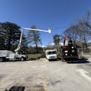 Common Ground Chattanooga Tree Service - Tree Service