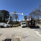 Common Ground Chattanooga Tree Service