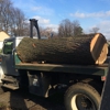 Canco Tree Service gallery