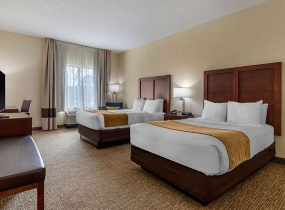 Comfort Inn & Suites - Camden, SC