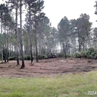 Southeast Forest and Land Management LLC