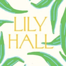 Lily Hall- A Boutique Hotel - Hotels