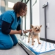 Livewell Animal Hospital of Riverview