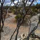 Boothill Graveyard & Gift Shop