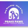 Peaks Paws Dog Boarding-Stay & Play gallery