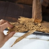 Marathon Pest Control gallery