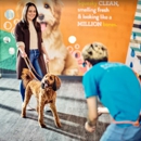 Dogtopia of Jacksonville - Beach Blvd - Pet Services