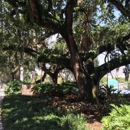 Preferred Care at Home of Northeast Orlando - Home Health Services