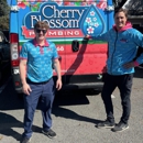 Cherry Blossom Plumbing - Water Heaters