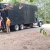 Affordable Tree Service gallery