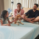 Mattress Dogzzz - Mattresses