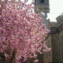 Court Street United Methodist Church - Methodist Churches