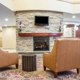 Comfort Suites Cicero-Syracuse North