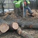 Eddy's Tree Service - Tree Service