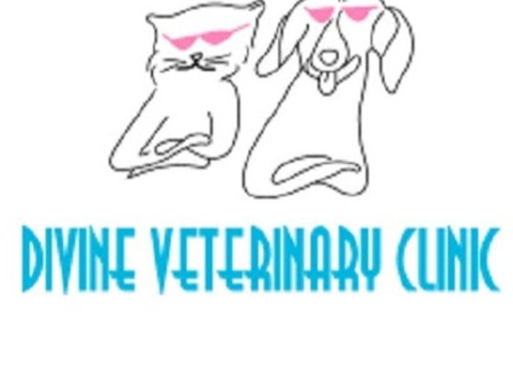 Divine Veterinary Clinic - Ozark, MO