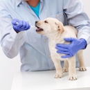 Prickly Pear Pet Vaccines - Veterinarians