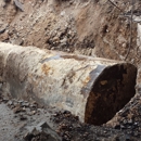 STC Environmental Services Inc - Environmental & Ecological Consultants