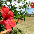 Kekaha Neighborhood Center