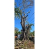 Gulf Coast Property Maintenance gallery