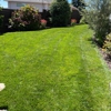 Greenside Lawn Maintenance gallery