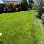 Greenside Lawn Maintenance