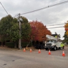 Latham's Tree Service gallery