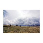 Gallery Image Number 3